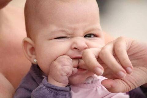 Baby teething biting down on a finger 1440x960 jpg