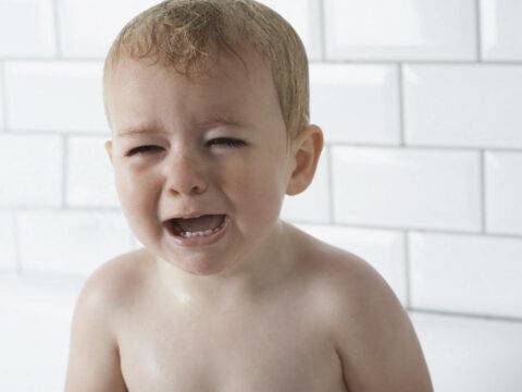 Istock 31899630 4x3 jpg